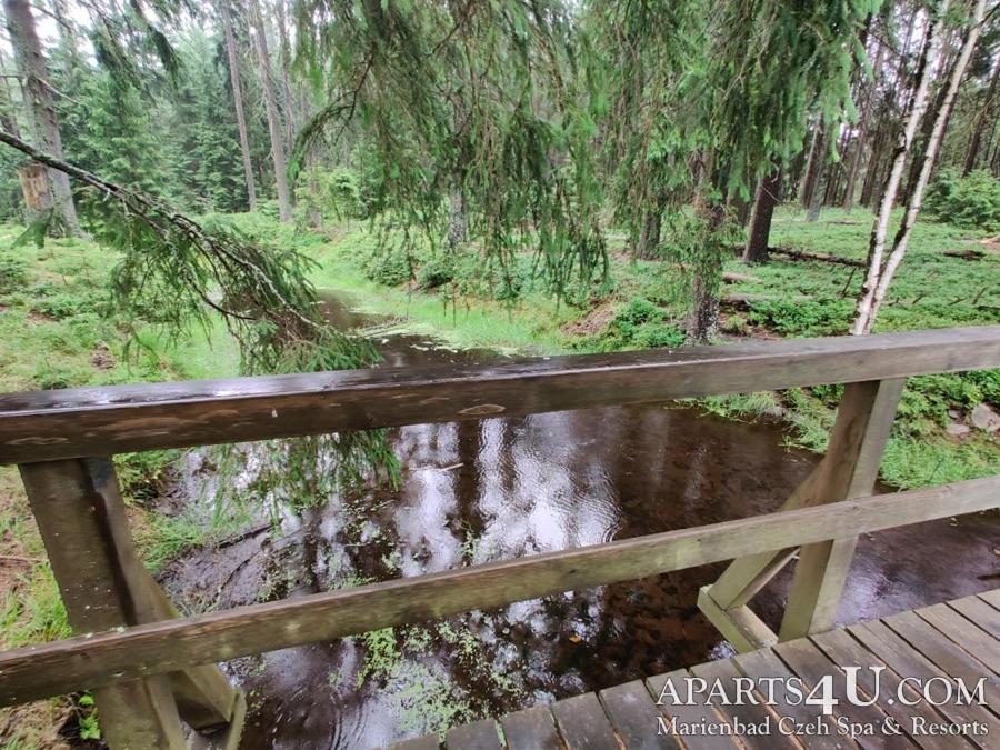 Apartment Grun Wald Mariánské Lázně Exteriér fotografie