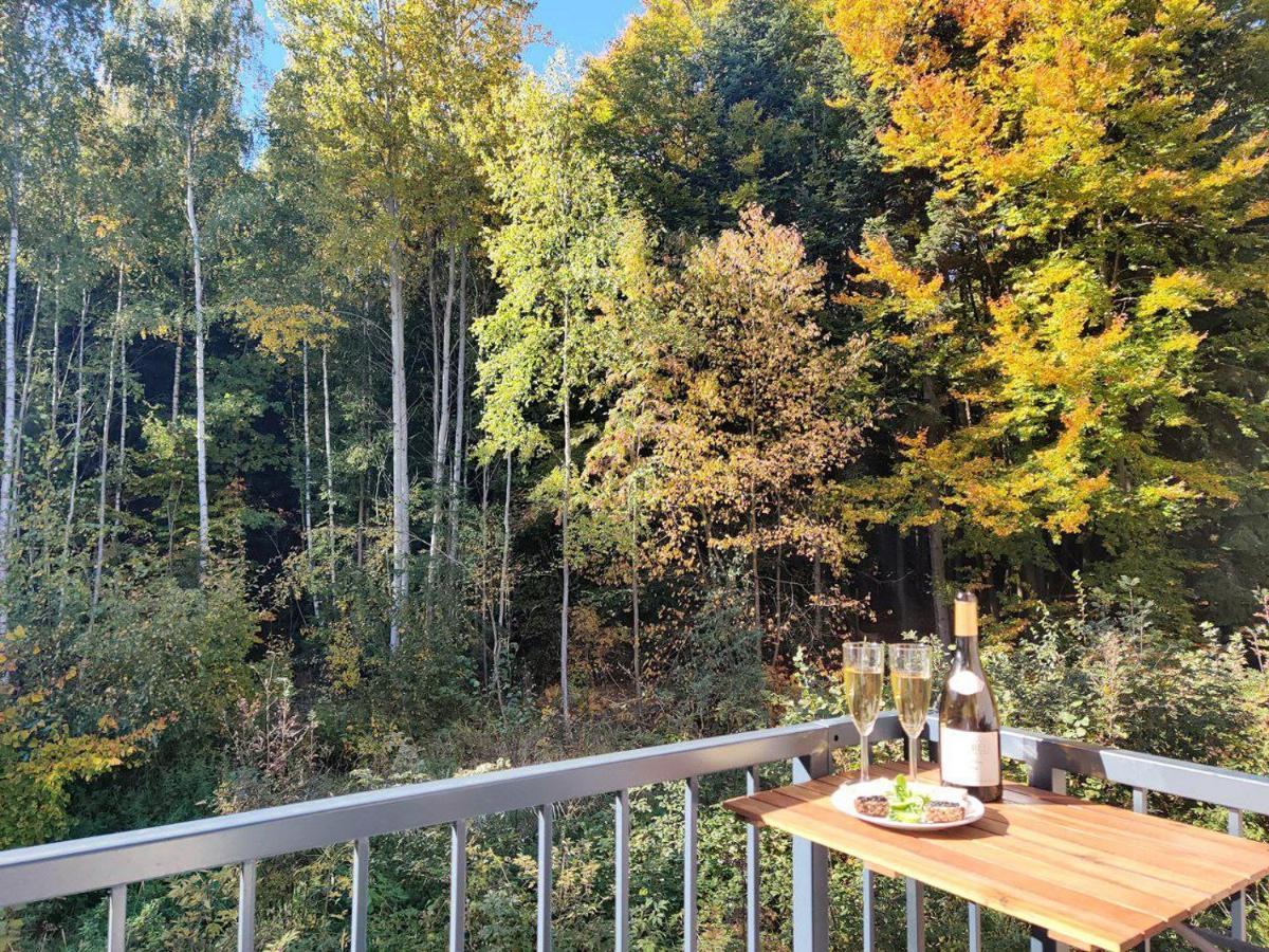 Apartment Grun Wald Mariánské Lázně Exteriér fotografie